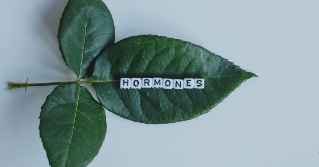 How Do BIOTE Pellets Work? The Science Behind Hormone Optimization